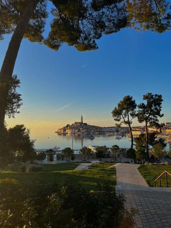 Studio Apartment La Maison De Catherine Rovinj Dış mekan fotoğraf
