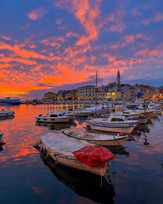 Studio Apartment La Maison De Catherine Rovinj Dış mekan fotoğraf